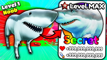 Starting Over as NOOB with Squalo Cavallo in Brainrot Evolution (Roblox)