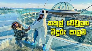 චංඩියා නොන්ඩි වෙන දවස - VLOG 457