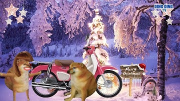 Nhạc chế Ding Ding TV: Ngày noel đi chơi phố