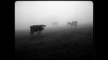 OBSCURUS | my first short film ever | Sony A7SIII Short Film