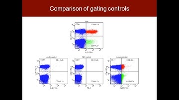 Antibodies in Multicolor Flow Cytometry: Panel Design Basics