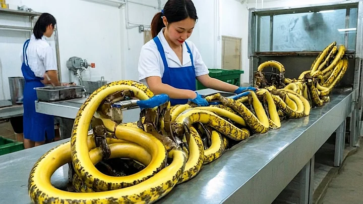 120 SATISFYING VIDEOS OF WORKERS WHO DO THEIR JOB PERFECTLY