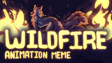 WILDFIRE | Animation Meme