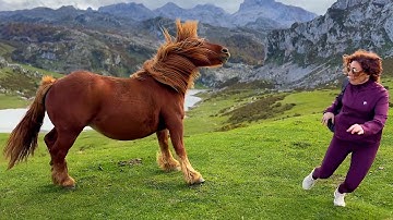 Best Viral Fails of December | Try Not to Laugh 🤣