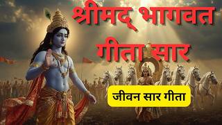 Bhagavad Gita Hindi : गीता सार: श्रीकृष्ण के अमर उपदेश | Krishna Updesh | Dharmik | #geeta