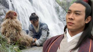 功夫電影！小夥好心救下小猴子，卻意外收穫武功秘籍，從此一飛沖天成為絕世高手！#kungfu #電影