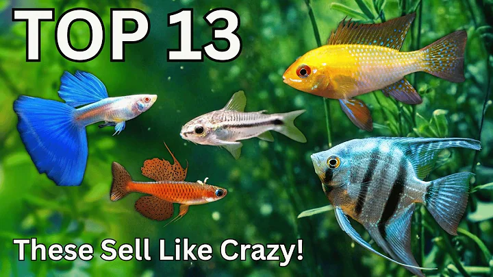 Fish You Can Breed for Profit (That Actually Sell)