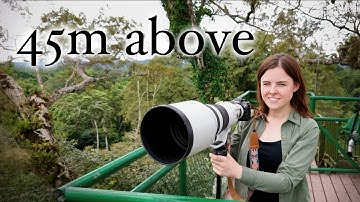What the Amazon Rainforest Looks Like From 45 Metres High