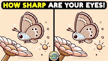 🐢🧩 Spot The Difference | Expert Challenge Edition 🧩🐢 | Quizonaut Turtle