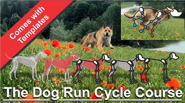 The Dog run cycle - I have created a course & Templates to help you animate your dog run cycles
