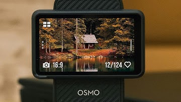 DJI Autumn LUT Pack | Transformeer uw herfstbeelden in seconden!