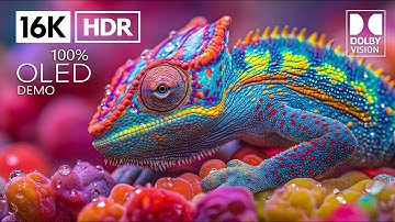 Insane Clarity in 16K HDR at 240 fps | Dolby Vision (4K/8K Video TV)