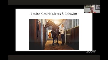 Live with Dr. Sue Dyson: Ulcers and Behavior - the Latest Research