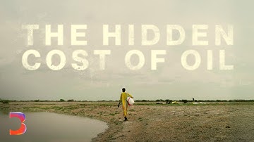 The Hidden Cost of Oil