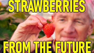 This Farm is destroying its competitors