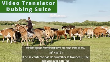 No Budget? No Problem! FREE AI Powered Magic for Video Translation & Dubbing