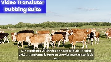 No Budget? No Problem! FREE AI Powered Magic for Video Translation & Dubbing