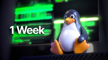 I Only Used the Terminal for 7 Days Straight