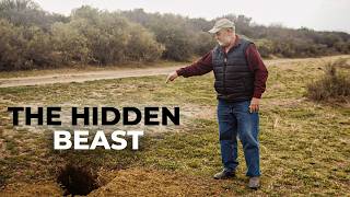 Hunting the Aardvark - The Animal No One Sees