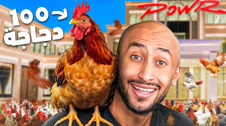 جبت 100 دجاجة في قصر باور 😂! 