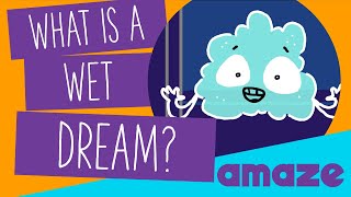 What is a Wet Dream?
