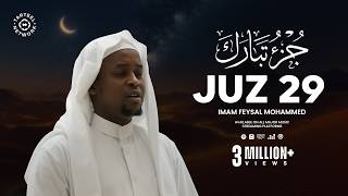 Peaceful Quran Recitation of Juz 29 (جزء تبارك)