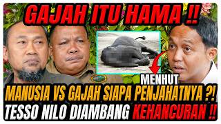 HUTAN DIBABAT HABIS‼️ GAJAH DIR*CUN‼️ TESSO NILO H4NCUR‼️ MENHUT : SEKALI2 KITA PERLU DI L_UDAHI‼️