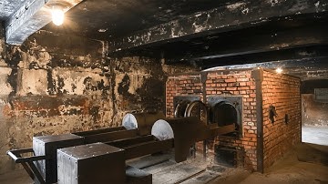 The Hidden Side Of WW2 - The Holocaust UNCENSORED