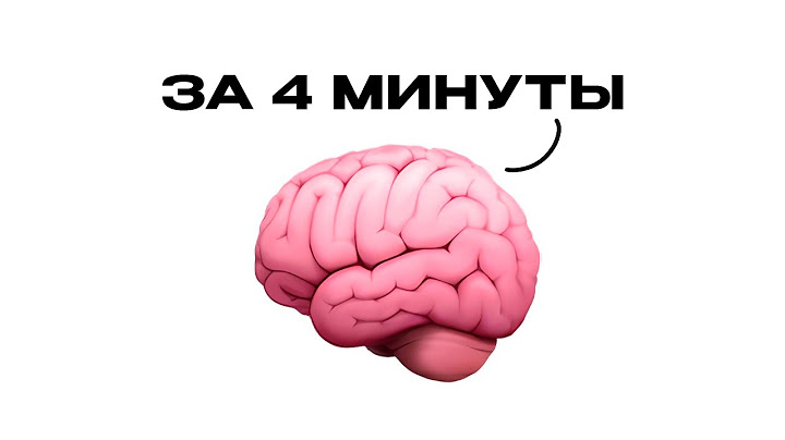 КАК НА САМОМ ДЕЛЕ СТАТЬ УМНЕЕ (и не забыть всё за ЛЕТО)