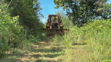Optimization of Old Plantation Roads with a D6R XL Bulldozer
