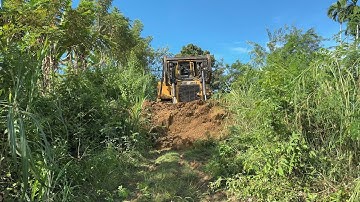 Optimization of Old Plantation Roads with a D6R XL Bulldozer