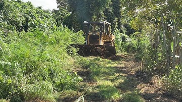 Optimization of Old Plantation Roads with a D6R XL Bulldozer