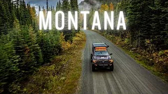 Chasing Fall Colors & Camping in Montana with my Dog