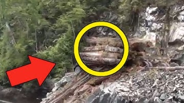 Idiots With Chainsaws Tree Cutting Fails  Extreme Dangerous Logging Truck Fails #1