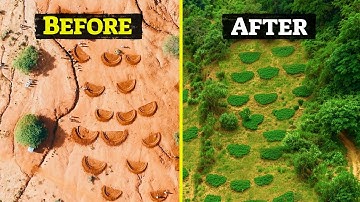 A genius way to restore dead soil