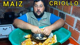 Purple Criollo Corn 🌽 Selection of native seeds for personal consumption