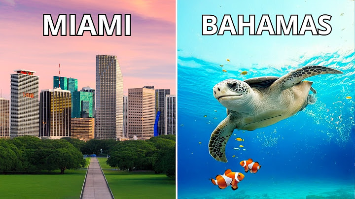 On a survécu à la vie sur Terre vs sur Mer