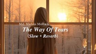 The Way Of Tears slow and reverb By Muhammad al muqit #slowedandreverb #nasheed #ماهين