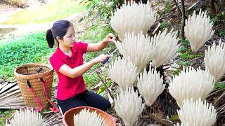 Harvesting 1000   Kg Forest Mushrooms To Sell At Market,Cook With Children |Tieu Ca - Free Bushcraft