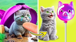 Jangan Menangis, Kucing Kecil, Aku Akan Menyelamatkanmu! Gadget & Kiat Hewan Peliharaan Cerdas