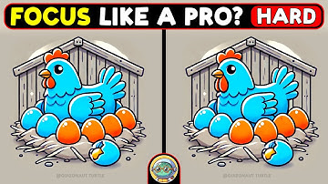 🐢🧩 Find The Difference | Puzzle Masters Only 🧩🐢 | Quizonaut Turtle