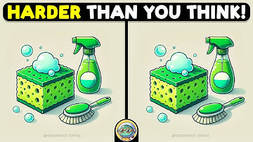 🐢🧩 Spot The Difference | Test Your Detective Skills 🧩🐢 | Quizonaut Turtle