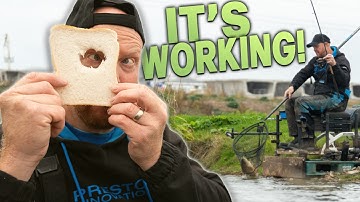 Bread Feeder Tactics with Andy May