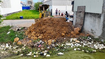First Start New Landfill Project! Using Dozer D20P KOMATSU Push Soil with 5Ton Truck Unloading Soil