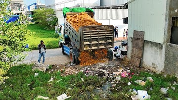 First Start New Landfill Project! Using Dozer D20P KOMATSU Push Soil with 5Ton Truck Unloading Soil