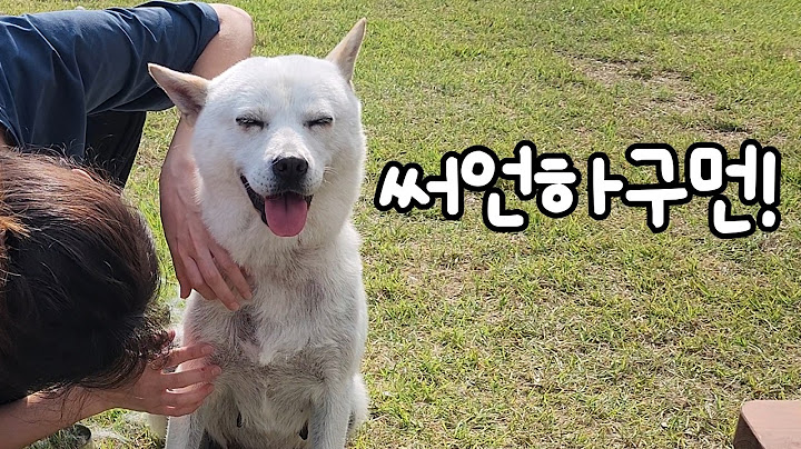 네 마리 목욕? 아무것도 아니ㅈ...윽...끅...
