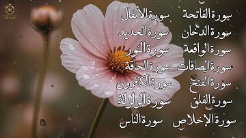 أقوى تلاوة مباركة… سور تفتح لك أبواب الرزق والراحة والطمأنينة