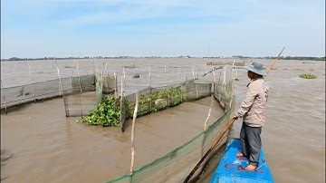 Sóng Dữ Tha La | Bà Con Đổ Dớn Trong Gió Bấc | Cận Cảnh Thực Tế 1 Ngày Mưu Sinh