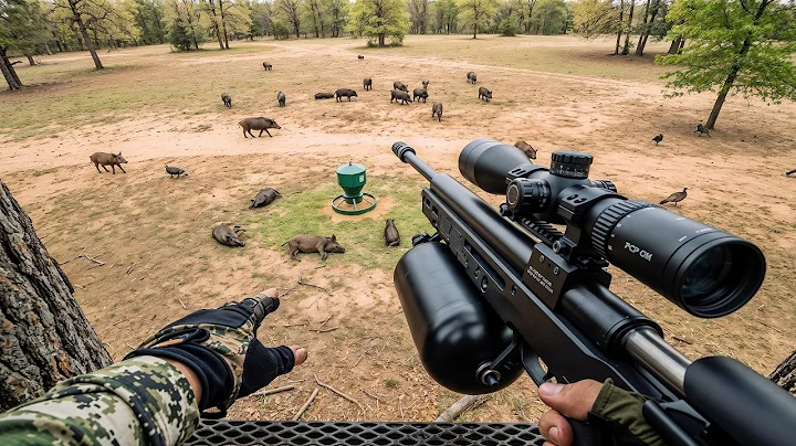 Wild Boars Invade the Farm… But the Hunter ABOVE Was READY!