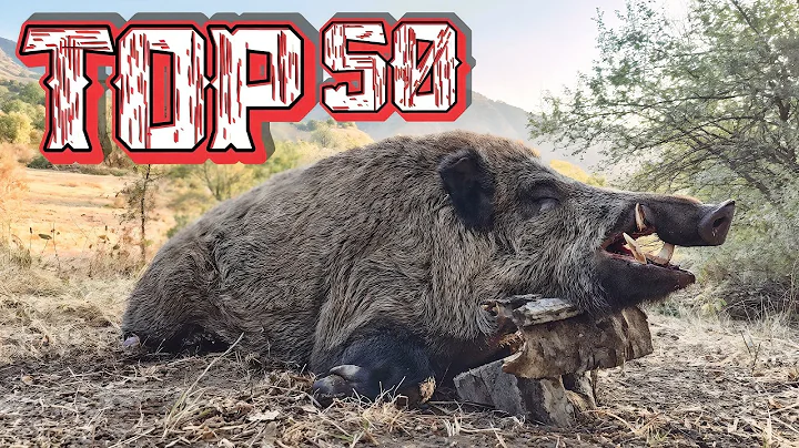 Texas Farmers DECIMATE 50 Wild Boars in 6 Minutes – Hog War ESCALATES!